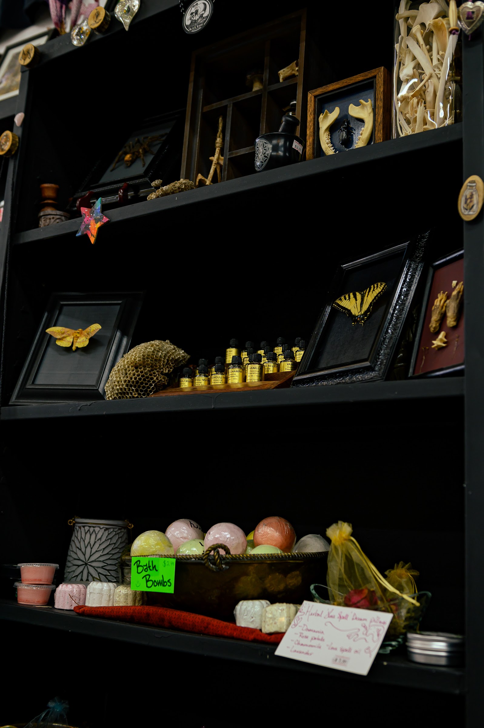 Dark wooden shelves display curiosities, including framed butterflies, a honeycomb, small essential oil — commercial photography in East Texas by Kaden Baker