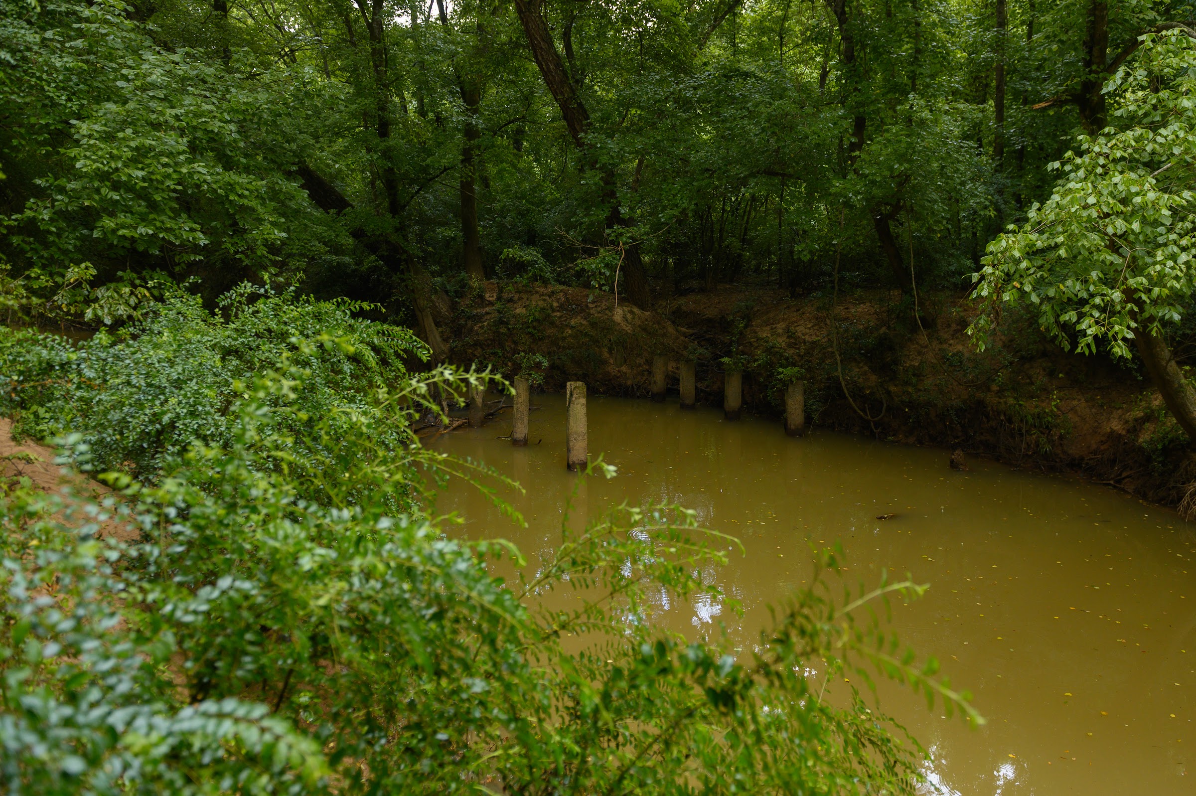 Concrete posts emerge from murky brown water surrounded by dense green forest foliage and earthen banks — landscape photography in East Texas by Kaden Baker
